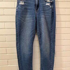 American Eagle Outfitters Blue Distressed Skinny Jeans